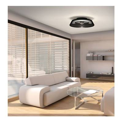 Ventilateur de Plafond Design Himalaya Sans Pale 63cm Noir