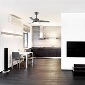 Ventilateur Plafond Newton 107cm Anthracite Gris