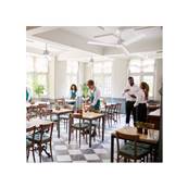 Ventilateur Plafond Anne 117cm Blanc