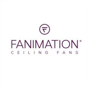 ventilateur fanimation