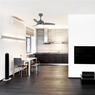 Ventilateur Plafond Newton 107cm Anthracite Gris